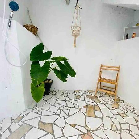 Habitation Nala Proche Bourg Apartment Terre-De-Haut Exterior photo