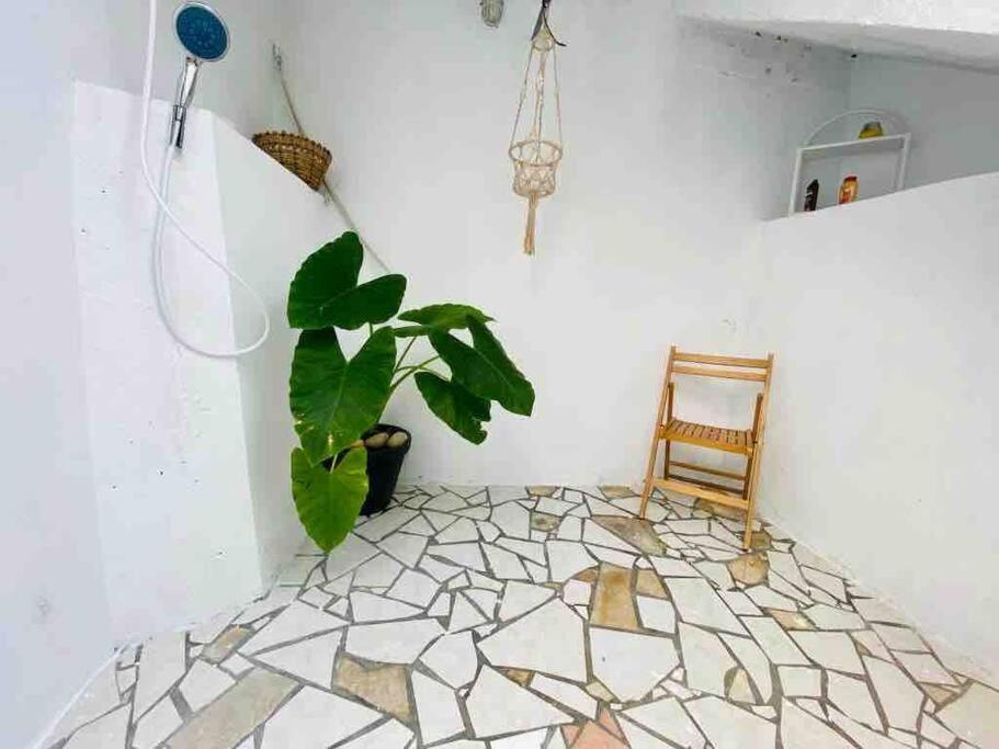 Habitation Nala Proche Bourg Apartment Terre-De-Haut Exterior photo